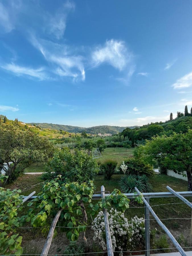 Luna Di Rose Apartment Portoroz Exterior photo